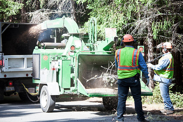 Mulching Services in Ninnekah, OK