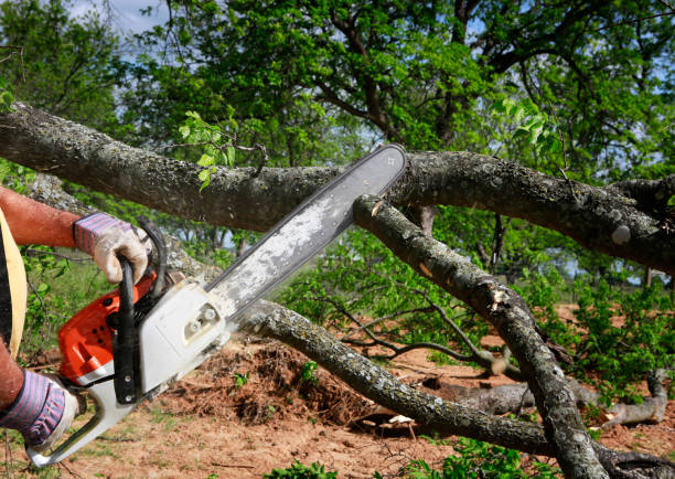 Landscape Design and Installation in Ninnekah, OK